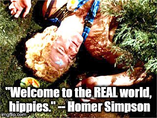 Yep, the fruit is poison. | "Welcome to the REAL world, hippies." -- Homer Simpson | image tagged in star trek | made w/ Imgflip meme maker
