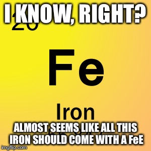 I KNOW, RIGHT? ALMOST SEEMS LIKE ALL THIS IRON SHOULD COME WITH A FeE | made w/ Imgflip meme maker