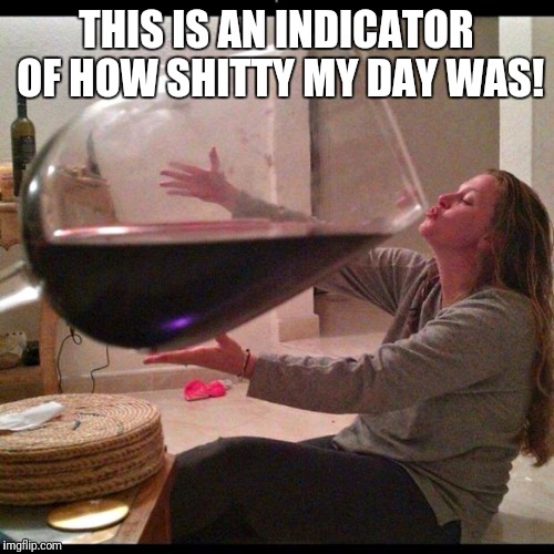 Wine Drinker | THIS IS AN INDICATOR OF HOW SHITTY MY DAY WAS! | image tagged in wine drinker | made w/ Imgflip meme maker