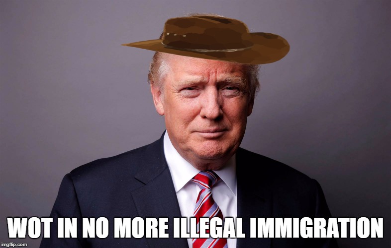 Photoshop on point | WOT IN NO MORE ILLEGAL IMMIGRATION | image tagged in wot in tarnation | made w/ Imgflip meme maker