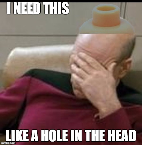 I NEED THIS; LIKE A HOLE IN THE HEAD | image tagged in picard_lego | made w/ Imgflip meme maker