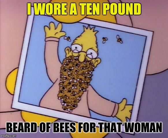 I WORE A TEN POUND BEARD OF BEES FOR THAT WOMAN | made w/ Imgflip meme maker