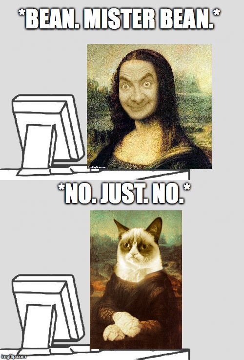 Mona Grumpy On POF | *BEAN. MISTER BEAN.*; *NO. JUST. NO.* | image tagged in no | made w/ Imgflip meme maker