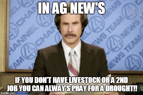 Ron Burgundy | IN AG NEW'S; IF YOU DON'T HAVE LIVESTOCK OR A 2ND JOB YOU CAN ALWAY'S PRAY FOR A DROUGHT!! | image tagged in memes,ron burgundy | made w/ Imgflip meme maker