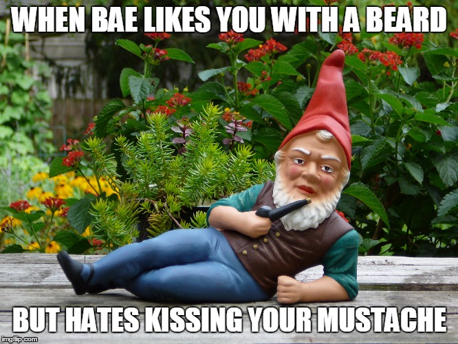 When she makes you cut your mustache | WHEN BAE LIKES YOU WITH A BEARD; BUT HATES KISSING YOUR MUSTACHE | image tagged in gnome,funny memes,beard,beards,mustache,bae | made w/ Imgflip meme maker