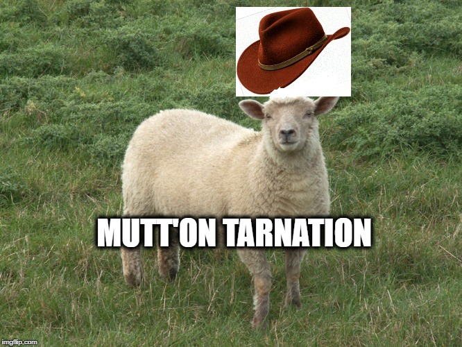 MUTT'ON TARNATION | image tagged in what in tarnation | made w/ Imgflip meme maker