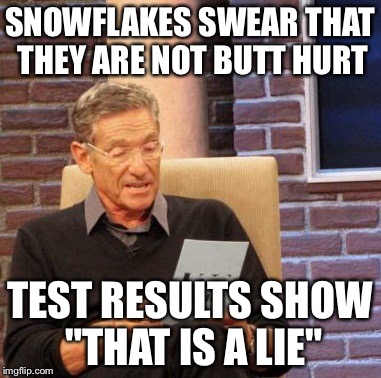 BUTT HURT SNOWFLAKES  | SNOWFLAKES SWEAR THAT THEY ARE NOT BUTT HURT; TEST RESULTS SHOW "THAT IS A LIE" | image tagged in memes,maury lie detector | made w/ Imgflip meme maker