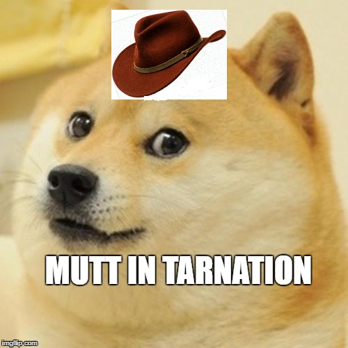 Doge Meme | MUTT IN TARNATION | image tagged in memes,doge,what in tarnation | made w/ Imgflip meme maker