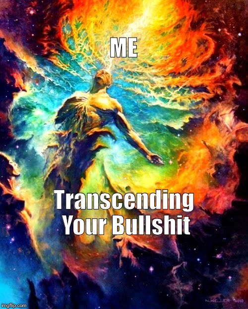 Transcension | ME; Transcending Your Bullshit | image tagged in original meme,bullshit,funny,transcending,smart,memewar | made w/ Imgflip meme maker