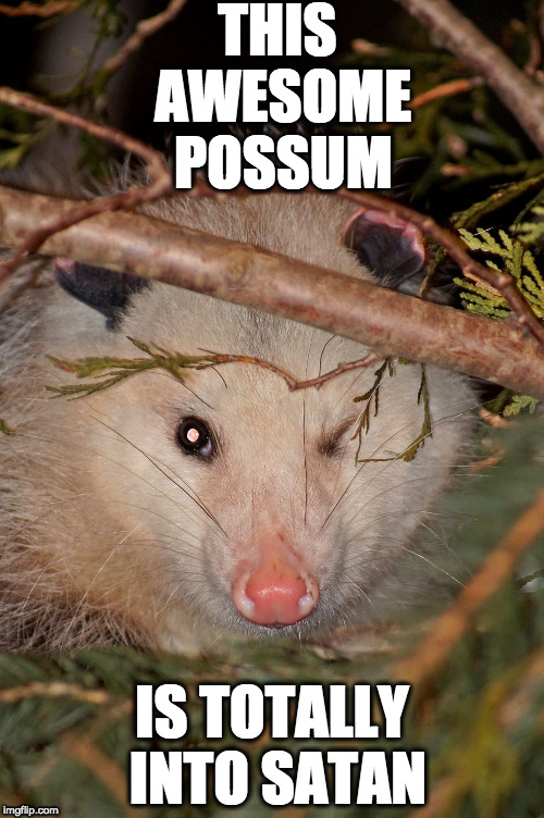 Opossum Occultus | THIS AWESOME POSSUM; IS TOTALLY INTO SATAN | image tagged in awesome,possum,satan,666,evil toddler,wink | made w/ Imgflip meme maker