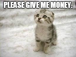 Sad Cat | PLEASE GIVE ME MONEY. | image tagged in memes,sad cat | made w/ Imgflip meme maker