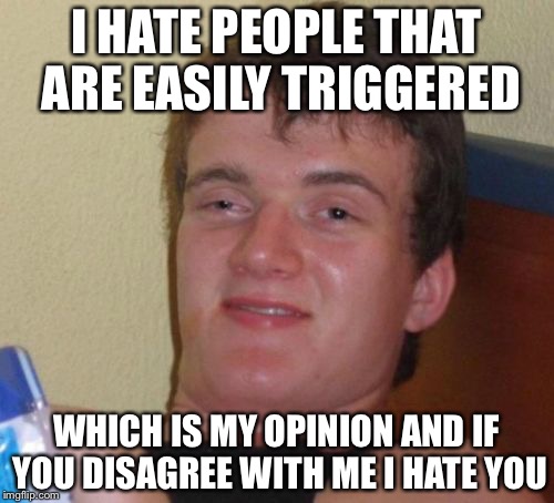 10 Guy Meme | I HATE PEOPLE THAT ARE EASILY TRIGGERED; WHICH IS MY OPINION AND IF YOU DISAGREE WITH ME I HATE YOU | image tagged in memes,10 guy | made w/ Imgflip meme maker