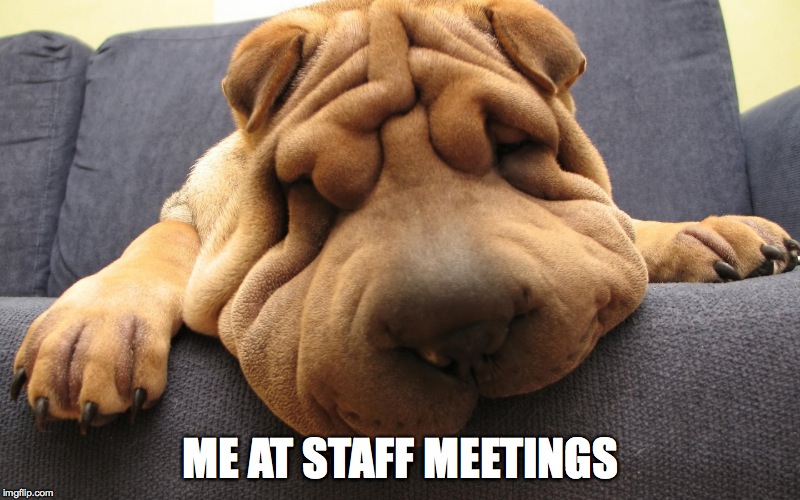 Snoozefest | ME AT STAFF MEETINGS | image tagged in staff meetings | made w/ Imgflip meme maker