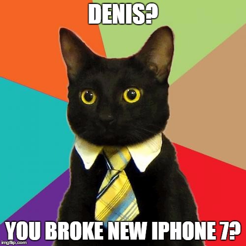Business Cat | DENIS? YOU BROKE NEW IPHONE 7? | image tagged in memes,business cat | made w/ Imgflip meme maker
