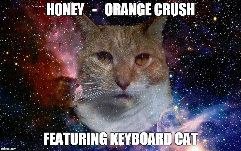 Honey Single Cover | HONEY   -   ORANGE CRUSH; FEATURING KEYBOARD CAT | image tagged in cats,keyboard cat | made w/ Imgflip meme maker