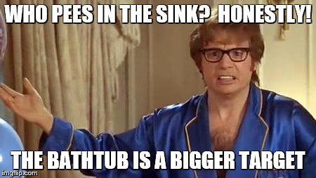 WHO PEES IN THE SINK?  HONESTLY! THE BATHTUB IS A BIGGER TARGET | image tagged in austin powers honestly | made w/ Imgflip meme maker