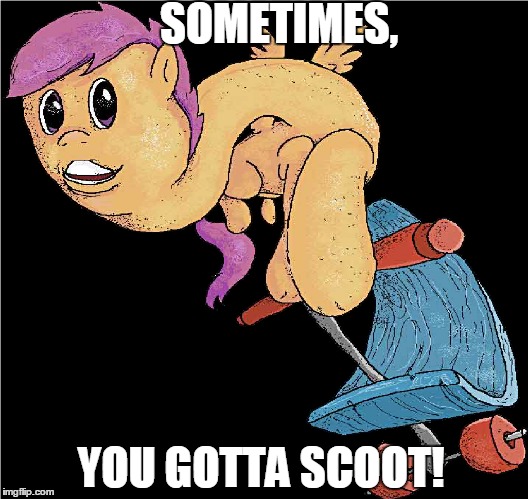 Scoot horse | SOMETIMES, YOU GOTTA SCOOT! | image tagged in dank memes,funny animal meme,funny memes | made w/ Imgflip meme maker