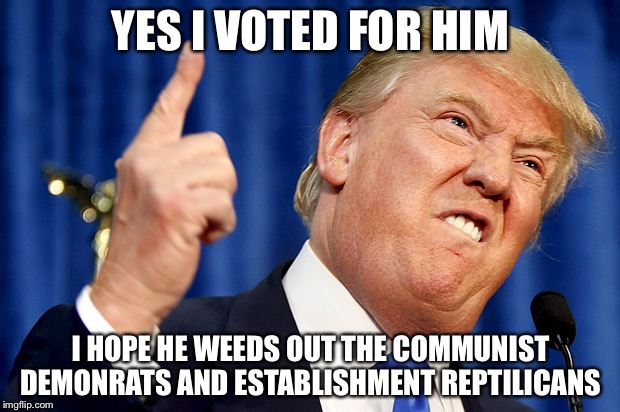 Donald Trump | YES I VOTED FOR HIM; I HOPE HE WEEDS OUT THE COMMUNIST DEMONRATS AND ESTABLISHMENT REPTILICANS | image tagged in donald trump | made w/ Imgflip meme maker