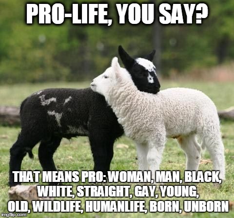 PRO-LIFE, YOU SAY? THAT MEANS PRO: WOMAN, MAN, BLACK, WHITE, STRAIGHT, GAY, YOUNG, OLD, WILDLIFE, HUMANLIFE, BORN, UNBORN | image tagged in pro-life | made w/ Imgflip meme maker