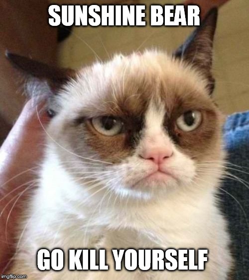 Grumpy Cat Reverse | SUNSHINE BEAR; GO KILL YOURSELF | image tagged in memes,grumpy cat reverse,grumpy cat | made w/ Imgflip meme maker