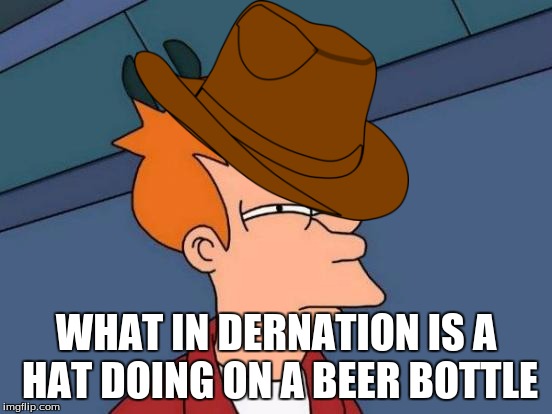 Futurama Fry Meme | WHAT IN DERNATION IS A HAT DOING ON A BEER BOTTLE | image tagged in memes,futurama fry | made w/ Imgflip meme maker