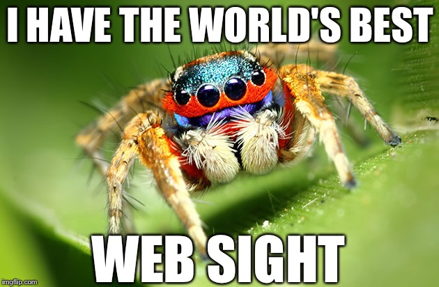 I HAVE THE WORLD'S BEST; WEB SIGHT | image tagged in memes,bad pun,bad puns,cute animals | made w/ Imgflip meme maker