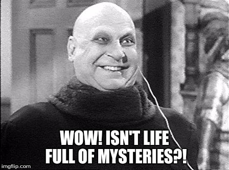 Uncle Fester's Wow | WOW! ISN'T LIFE FULL OF MYSTERIES?! | image tagged in uncle fester's wow | made w/ Imgflip meme maker
