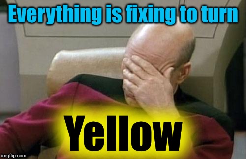 Captain Picard Facepalm Meme | Everything is fixing to turn Yellow | image tagged in memes,captain picard facepalm | made w/ Imgflip meme maker