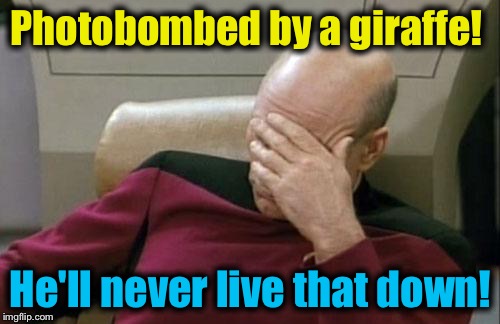 Captain Picard Facepalm Meme | Photobombed by a giraffe! He'll never live that down! | image tagged in memes,captain picard facepalm | made w/ Imgflip meme maker