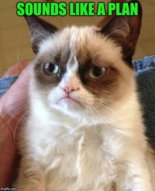 Grumpy Cat Meme | SOUNDS LIKE A PLAN | image tagged in memes,grumpy cat | made w/ Imgflip meme maker