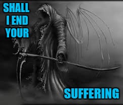 grim reaper | SHALL I END YOUR SUFFERING | image tagged in grim reaper | made w/ Imgflip meme maker