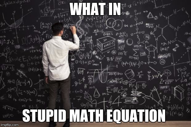 Math | WHAT IN; STUPID MATH EQUATION | image tagged in math | made w/ Imgflip meme maker