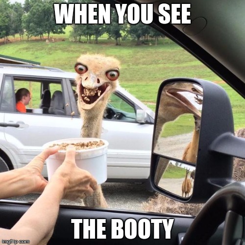 Muthafukin' Breadcrumbs! | WHEN YOU SEE; THE BOOTY | image tagged in muthafukin' breadcrumbs | made w/ Imgflip meme maker
