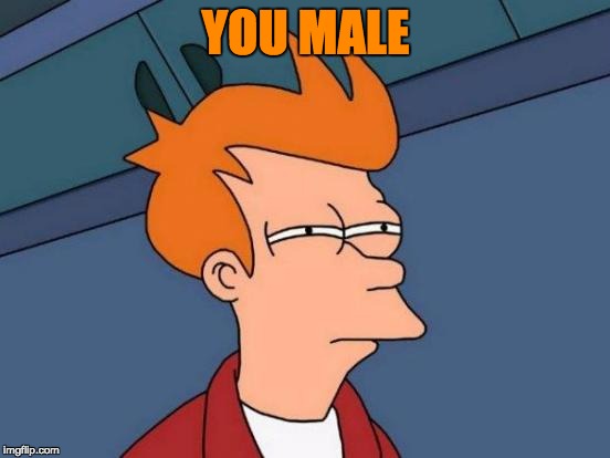 Futurama Fry | YOU MALE | image tagged in memes,futurama fry | made w/ Imgflip meme maker