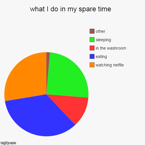 image tagged in funny,pie charts | made w/ Imgflip chart maker