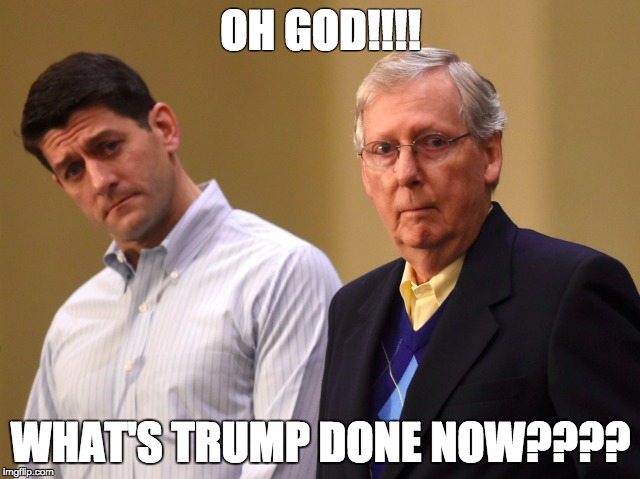 Ryan / McConnell Deer in the headlights | OH GOD!!!! WHAT'S TRUMP DONE NOW???? | image tagged in what the fuck | made w/ Imgflip meme maker