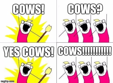 What Do We Want Meme | COWS! COWS? COWS!!!!!!!!!!! YES COWS! | image tagged in memes,what do we want | made w/ Imgflip meme maker