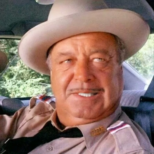 Sheriff Buford T. Justice You Sum Bitch Blank Meme Template
