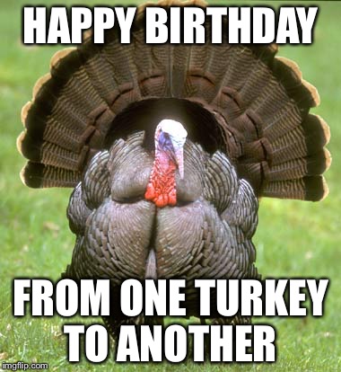 Turkey | HAPPY BIRTHDAY; FROM ONE TURKEY TO ANOTHER | image tagged in memes,turkey | made w/ Imgflip meme maker