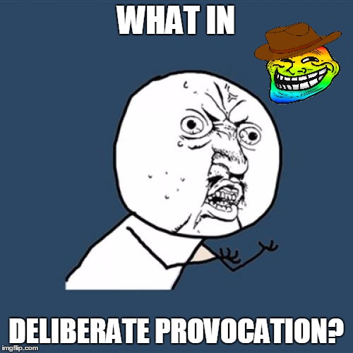 Y U No Meme | WHAT IN DELIBERATE PROVOCATION? | image tagged in memes,y u no | made w/ Imgflip meme maker