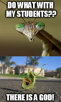 Scared Praying Mantis and Happy Praying Mantis | DO WHAT WITH MY STUDENTS?? THERE IS A GOD! | image tagged in praying mantis | made w/ Imgflip meme maker