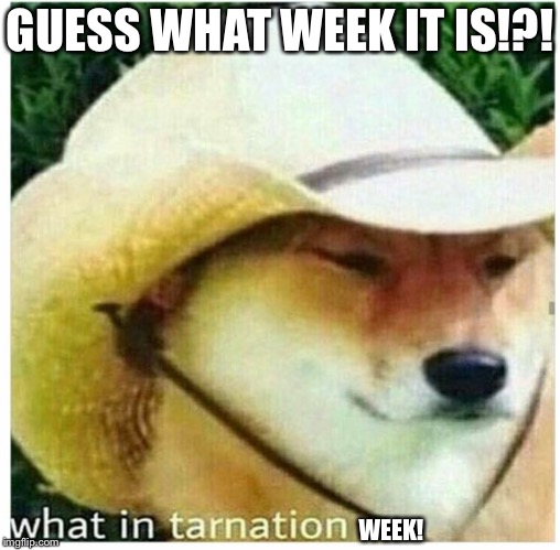 Submit memes tagged with what in tarnation week and santadude. I will post my top 10 faves! | GUESS WHAT WEEK IT IS!?! WEEK! | image tagged in what in tarnation,santadude,what in tarnation week | made w/ Imgflip meme maker