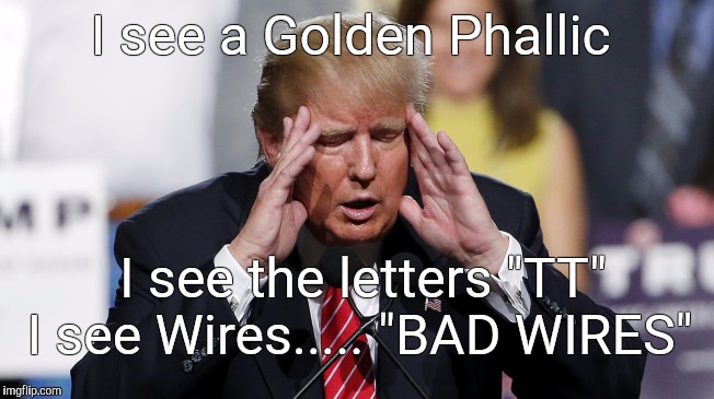 TT  | I see a Golden Phallic; I see the letters "TT"; I see Wires..... "BAD WIRES" | image tagged in donald trump | made w/ Imgflip meme maker