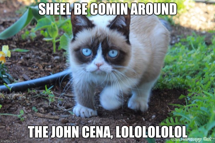 grumpy cat outside | SHEEL BE COMIN AROUND; THE JOHN CENA, LOLOLOLOLOL | image tagged in grumpy cat outside | made w/ Imgflip meme maker
