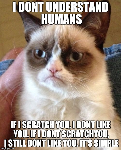I really dont understand | I DONT UNDERSTAND HUMANS; IF I SCRATCH YOU, I DONT LIKE YOU. IF I DONT SCRATCHYOU, I STILL DONT LIKE YOU. IT'S SIMPLE | image tagged in memes,grumpy cat | made w/ Imgflip meme maker