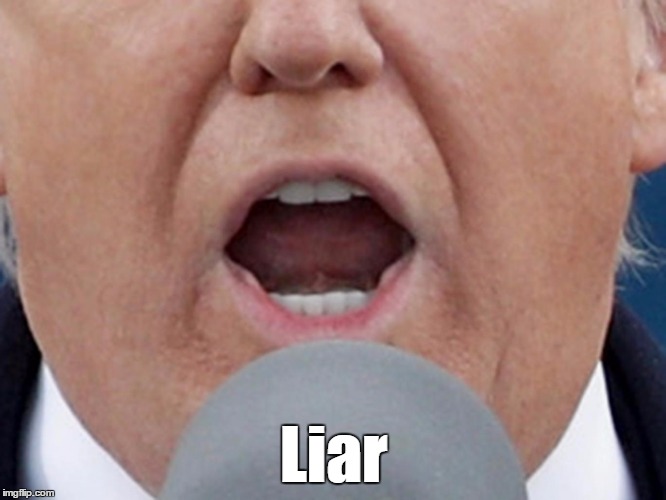 Trump Is A Liar | Liar | image tagged in trump is a liar,trump promotes falsehood,devious donald,despicable donald,deplorable donald,lying donald | made w/ Imgflip meme maker