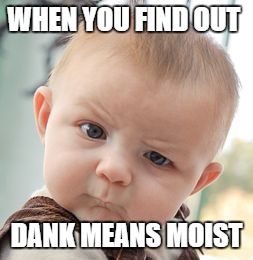 Skeptical Baby Meme | WHEN YOU FIND OUT; DANK MEANS MOIST | image tagged in memes,skeptical baby | made w/ Imgflip meme maker