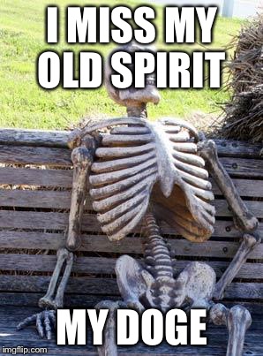 Waiting Skeleton Meme | I MISS MY OLD SPIRIT; MY DOGE | image tagged in memes,waiting skeleton | made w/ Imgflip meme maker