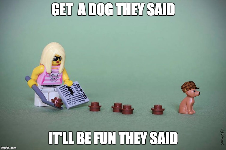 Get a dog they said, Lego version | GET  A DOG THEY SAID; IT'LL BE FUN THEY SAID | image tagged in lego week | made w/ Imgflip meme maker