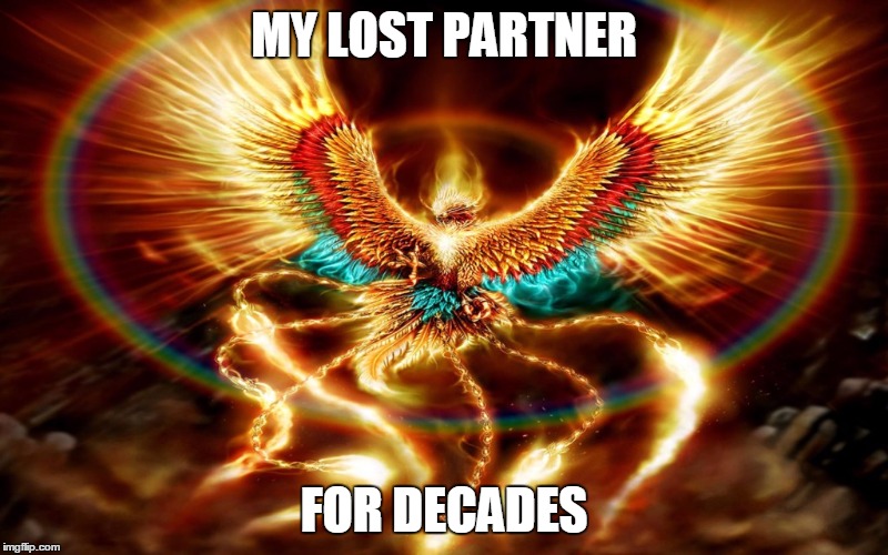 My most best PHOENIX meme ever!! | MY LOST PARTNER; FOR DECADES | image tagged in golden phoenix,cool,phoenix | made w/ Imgflip meme maker